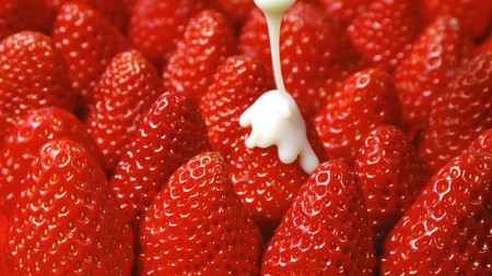 fresh strawberries with cream - fresh, fruits, red, strawberries