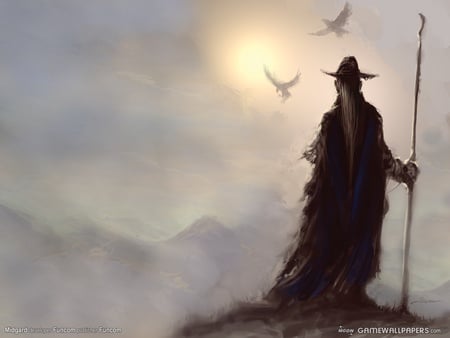 Tha Magician - hill, male, hawks, magic, staff, man, sun