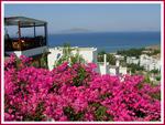 bodrum