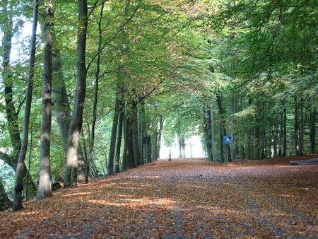 Tervuren - park  tervuren belgium automme