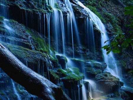 Blue Water fall - wood, falls, river, tree, rocks