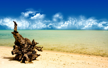 A Day at the Beach Widescreen - beach