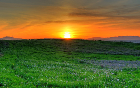 Grassy Shore  - sun