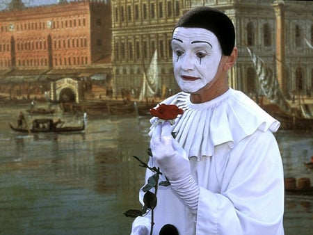 carnival in venice - clown rose, white, carnival, venice