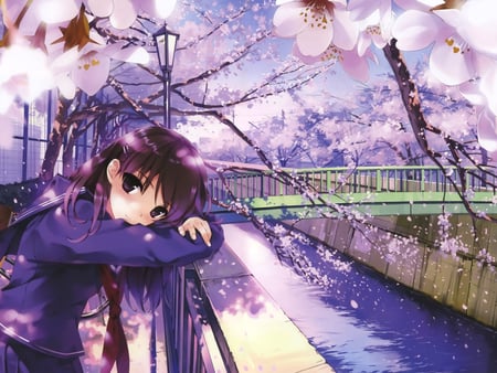 Winter anime - woman, girl, school, winter, bicycle, fantasy, cherry blossom, pretty, anime, school girl