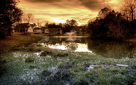 my_backyard - rain, water, landscape, beautiful, poor, old, rainy, home, view, backyard, trees, nature, grey