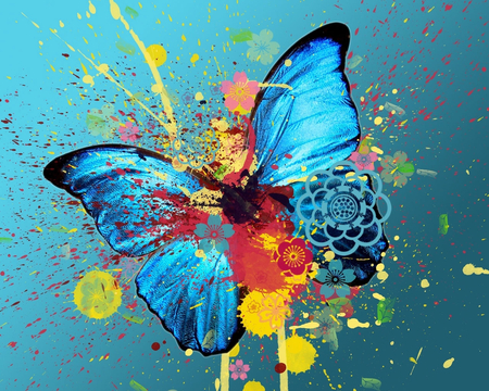 Butterfly - butterfly, abstract, colorful, colorful butterfly