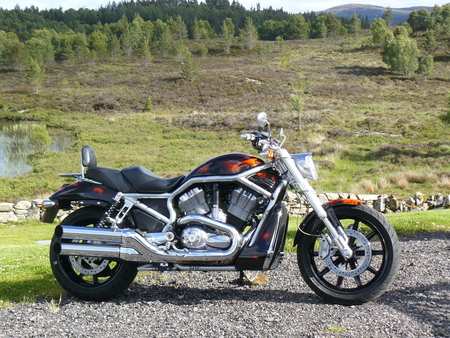 harley davidson streetrod - harley, motorcycle, scotland, steetrod