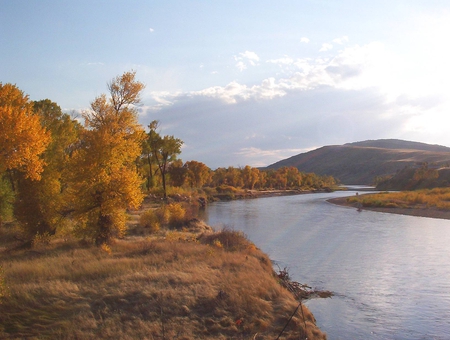 River Gold - sky, autumn, trees, river, water, color, mountains, gold