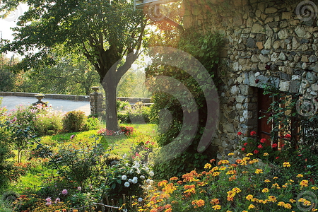 old garden - nature, green, flowers, garden