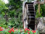 Waterwheel in a Flower Garden