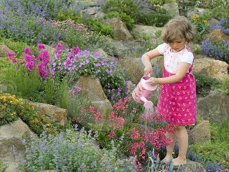 cute girl watering the flowers - flowers, garden, red, girl, watering