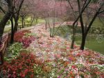 taiwan garden