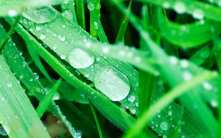 A LITTLE DROP OF WATER - water, nature, blue, amazing, nice, cool, new, wallpaper