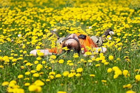 Portrait of person on the dandelion meadow - dandelion, meadow, filed, flowers, yellow, man