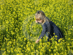 little girl picking flowers