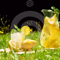 lemonade in  the meadow