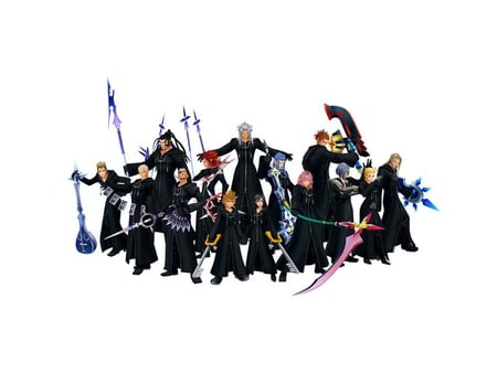 THE ORGANIZATION - kh, kingdom hearts, organization 13, 13