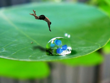 Dive in Drop - picture, drop, cool, dive