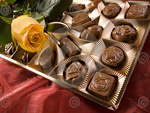 rose and chocolate