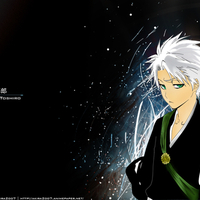 Toshiro Bleach