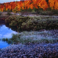 Purple Lake