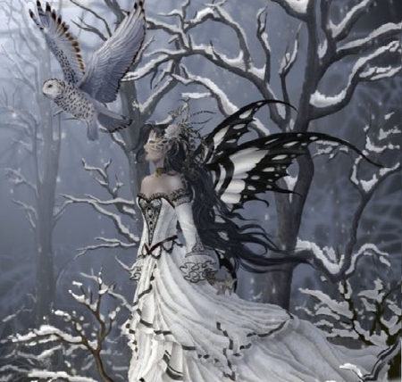 Winter butterfly fairy - winter fairy, fairy, winter butterfly fairy, butterfly fairy