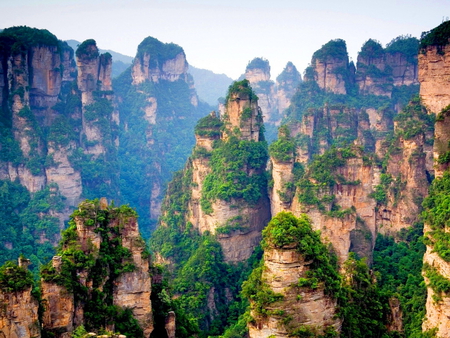 Cliffs - trees, mist, rock, rugged, moss, cliffs, mountains