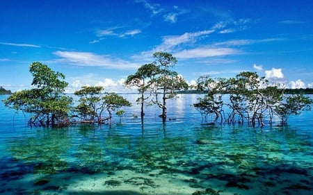 Andaman-And-Nicobar-Islands - lakes, islands, nature, water