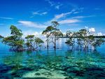 Andaman-And-Nicobar-Islands