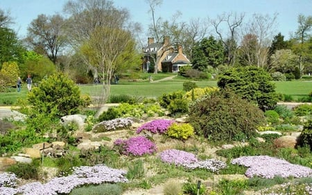 spring scene - forrest, trees, nature, outdoors