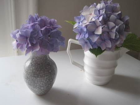 Morning light - vase, beautiful, table, morning, light, flowers, wonderful, grey, white, nature, purple, soft, violet, pale