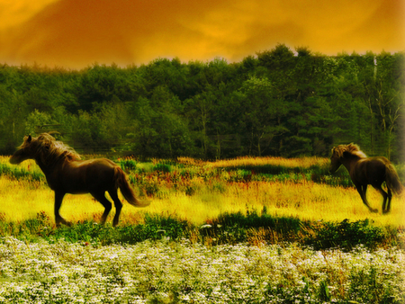 Horses - pretty, summer, splendor, landscape, flowers field, grass, flowers, view, field, field of flowers, sky, clouds, trees, beautiful, beauty, colors, lovely, horse, tree, colorful, nature, sunset, horses, green, peaceful, animals