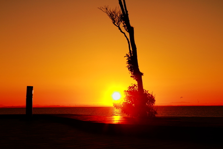 yellow sunrise - water, sunrise, yellow, sun