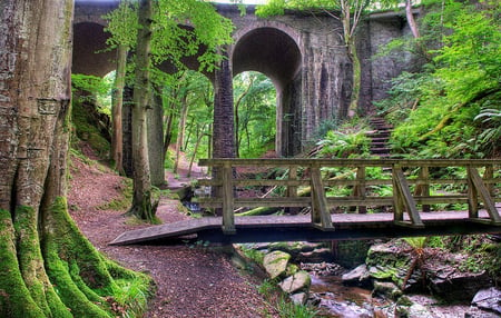 Woodland - stairs, woodland, trees, water, summer, arche, rocks, sesons, nature, beautiful, green, hdr, bridge, texture