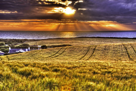 Summer sunrays - summer, coast, amazing, landscape, light, sunsets, sunrays, view, hdr, golden, sun, clouds, water, image, fields, beautiful, sea, sesons, gold, nature, background