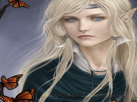 Butterfly elf - butterfly, elf, butterfly elf, butterfly girl