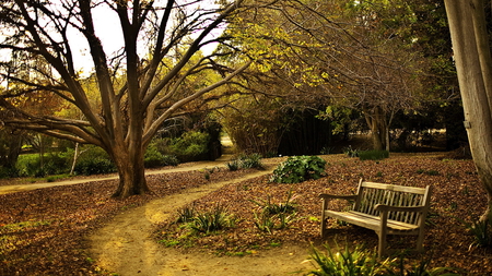 Autumn - pretty, calm, landscape, grass, forest, walk, leaves, bench, seasons, nice, trees, beautiful, photography, shrubs, beauty, colors, lovely, cool, nature, autumn, peaceful, park