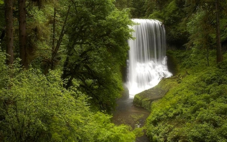 Cascades of Water - summer, water, river, waterfalls, trees, green