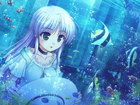 Aquarium - anime, water, girl, aquarium, fish