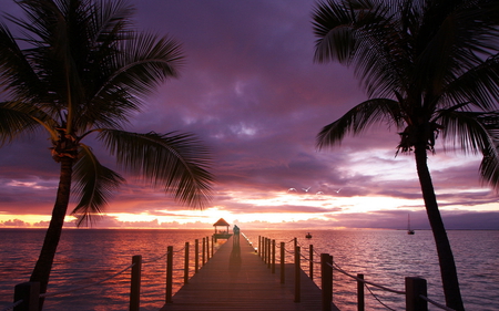 Romantic Place - pretty, summer, sundown, romantic, romance, sunrise, sailboats, light, sailing, holiday, gazebo, exotic, paradise, summer time, beauty, colors, love, darkness, palm, pier, boats, tropical, nature, sunset, sailboat, people, boat, evening, splendor, reflection, purple, mirror, red, view, sky, clouds, palms, trees, beautiful, sea, lovely, ocean, tree, glow, dusk, peacceful, peaceful, lovers