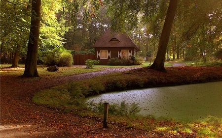 Autumn - beauty, autumn, trees, peaceful, water, path, road, fall, view, architecture, green, house, tree, grass, houses, lake, lovely, nature, autumn colors, alley, beautiful, leaves, splendor, colors