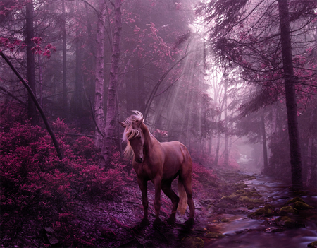 Off the beaten track ! - far from the truth, purple, horse, light