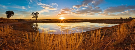 pond of reflections - sky, trees, photography, sun, water, wet, sunset, field, nature, clouds, pond