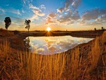 pond of reflections