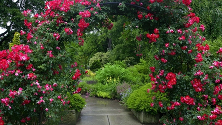 secret garden - path, roses, secret, nature, arbor, arch, garde