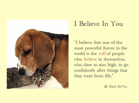 I Believe In You - forever, beautiful, dog, together, friendship, believe, love, magical, faith, surprise, life, cat, both, animal, friends, you and i