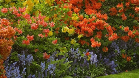  Garden - flowers, beautiful, garden, colors