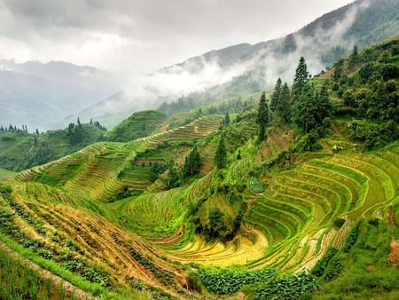 Amazing view - greenery, mountains, nature, scenery