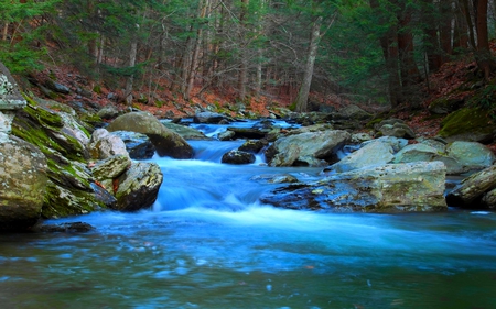 FOREST STREAM - cascade, falls, rock, stream, forest, stones